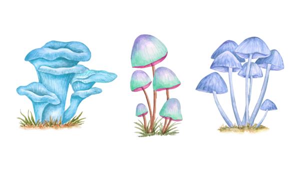 یک تصویر آبرنگی از قارچ در محیط خیالی جادویی